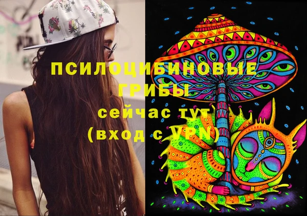круглые Богородск
