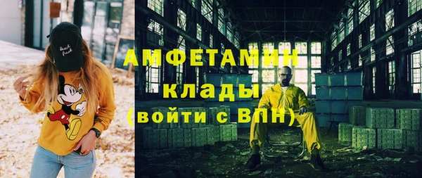 шишки Белоозёрский